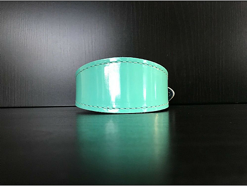 Felt Lined Mint Gloss - Whippet Leather Collar - Size S